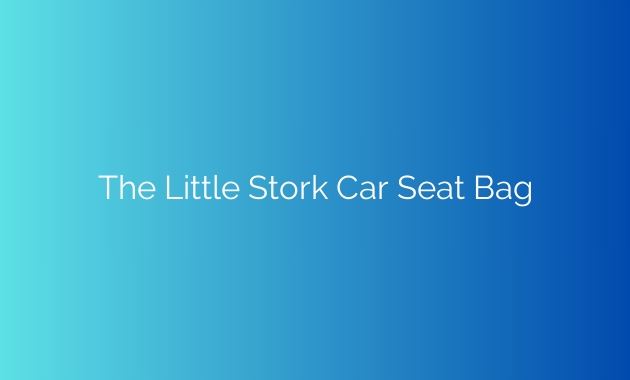 The Little Stork Car Seat Bag: A Game-Changer For Traveling Families ...